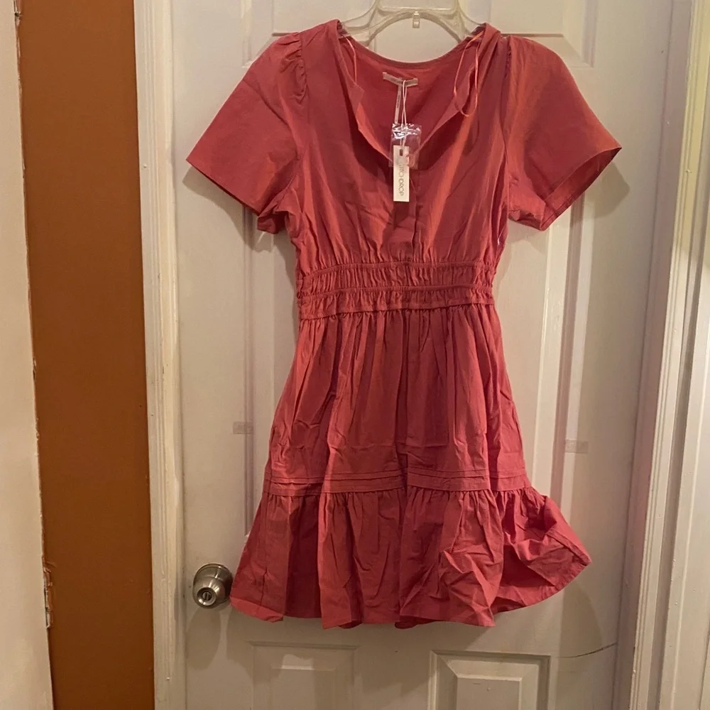 StichdropChic raspberry color Skater Dress